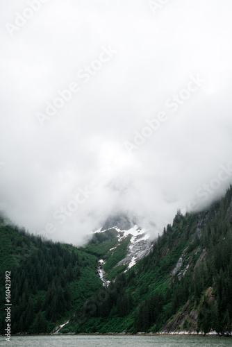 Foggy Mountain Along Tracy Arm