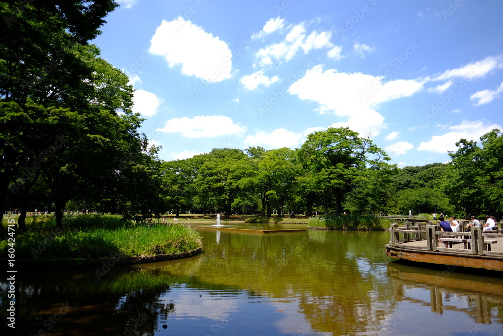 Obraz premium 夏 池