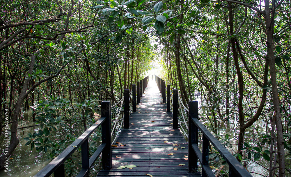 Wooden walkway in the mangrove forest stretching the light of the exit.