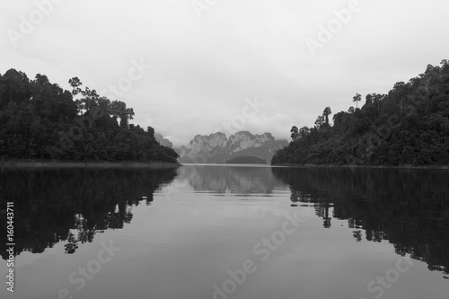 A nature landscape with mountains and vegetation in the early morning on the Ratchaprapha lake in Thailand - black and white © neonnspb