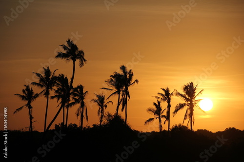 Sunset at the beach of Jambiani / Zanzibar Island, Tanzania, Indian Ocean, Africa