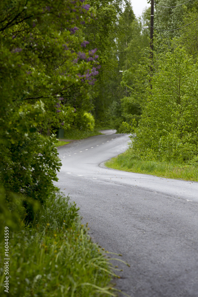 Obraz premium Wet asphalt road. Curvy highway.