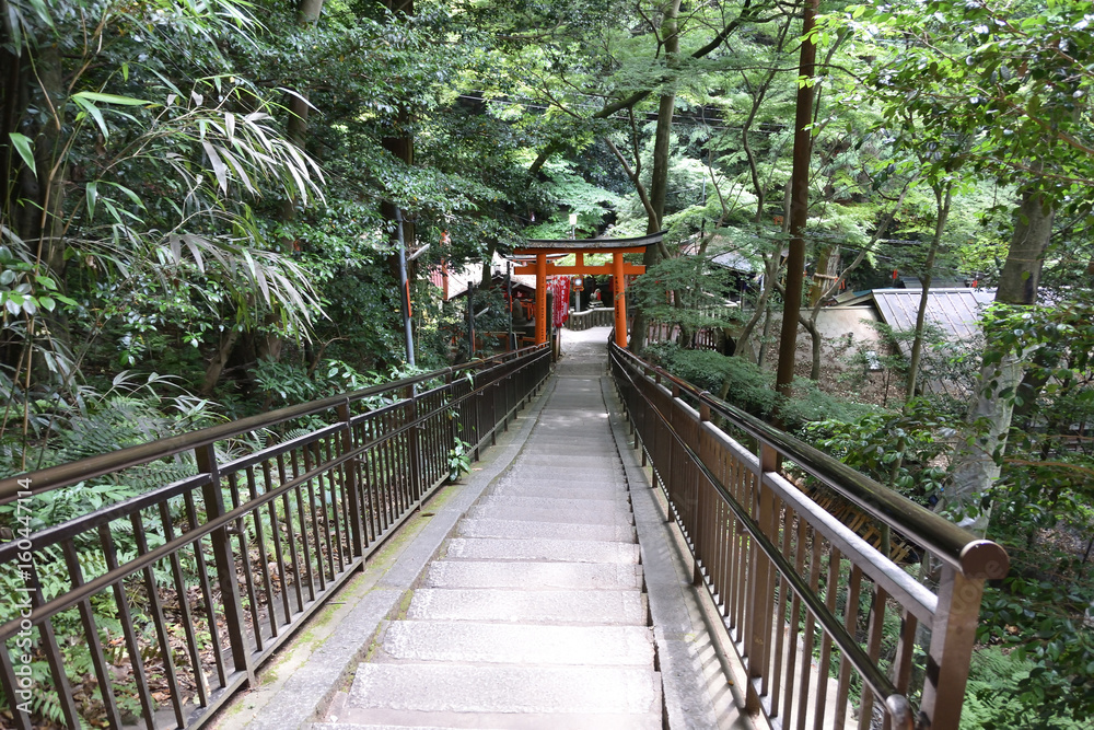 Fototapeta premium 伏見稲荷 千本鳥居