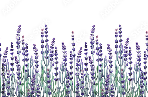 Watercolor lavender design