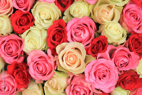  pink mixed wedding roses