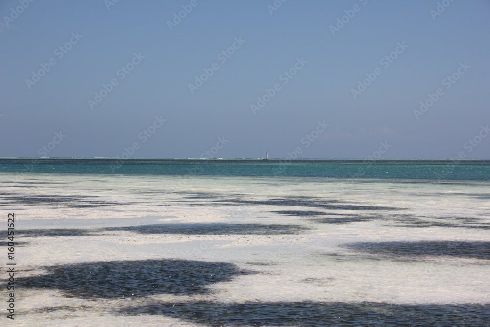 Sea View / Kiwengwa Beach, Zanzibar Island, Tanzania, Indian Ocean, East Africa
