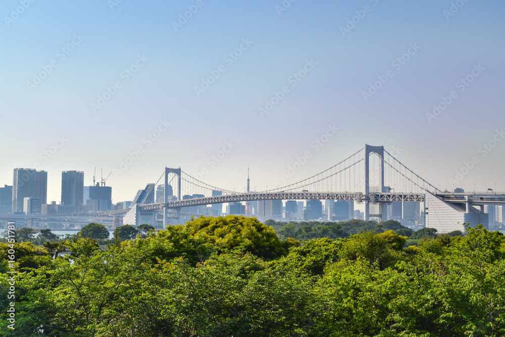 Fototapeta premium Rainbow bridge as seen from Odaiba waterfront, Odaiba, Japan 