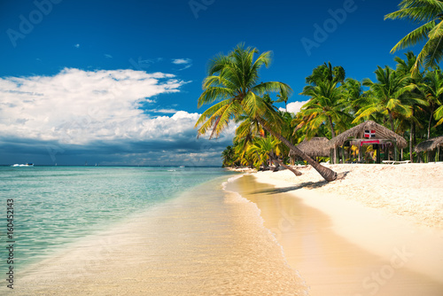 Tropical beach on Saona Island, Dominican republic photo