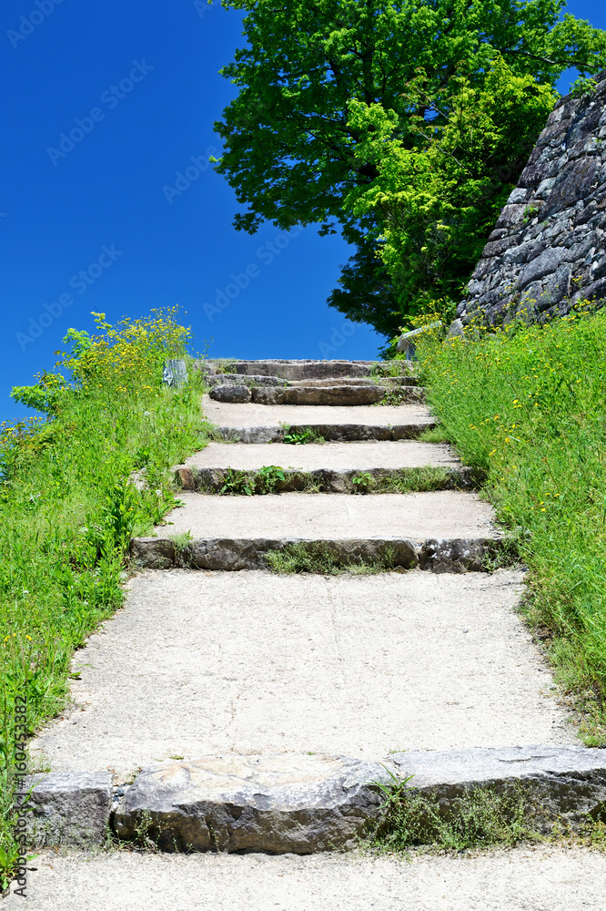Stone steps to top of Naegi castle ruins