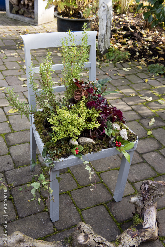 Alter bepflanzter Stuhl Stock Photo | Adobe Stock