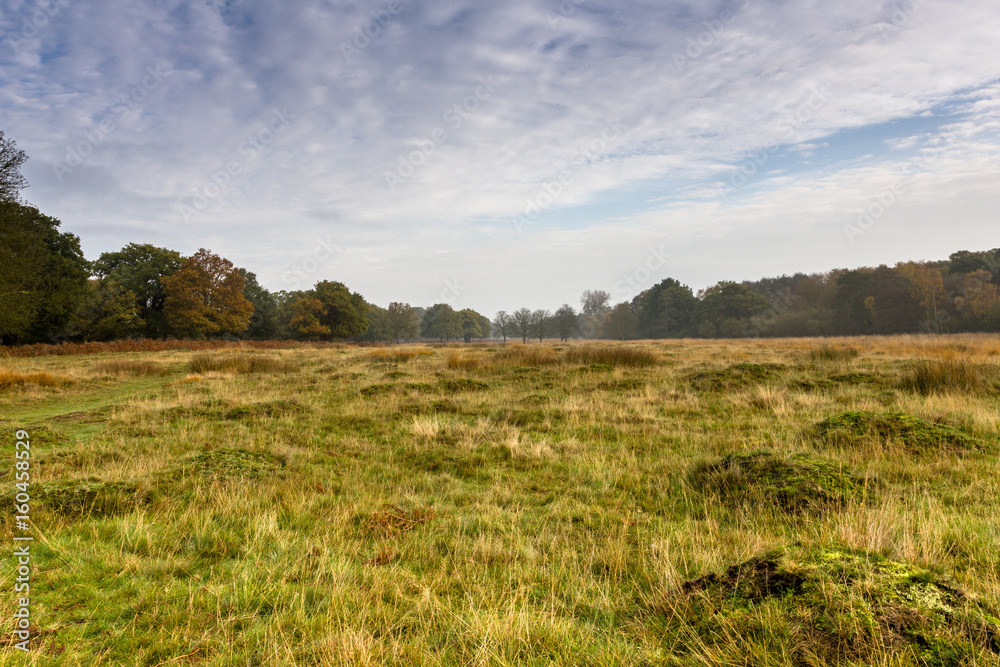 Richmond Park