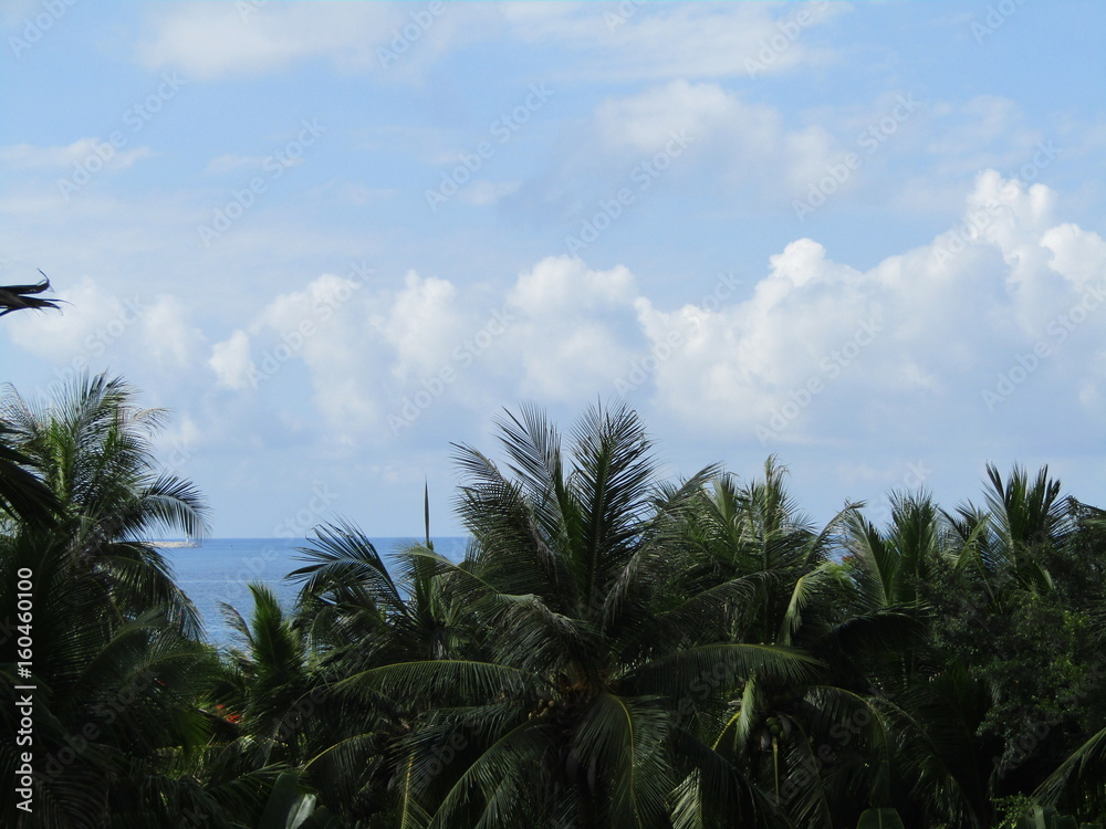 Fototapeta premium Sky, sea, clouds and palm trees