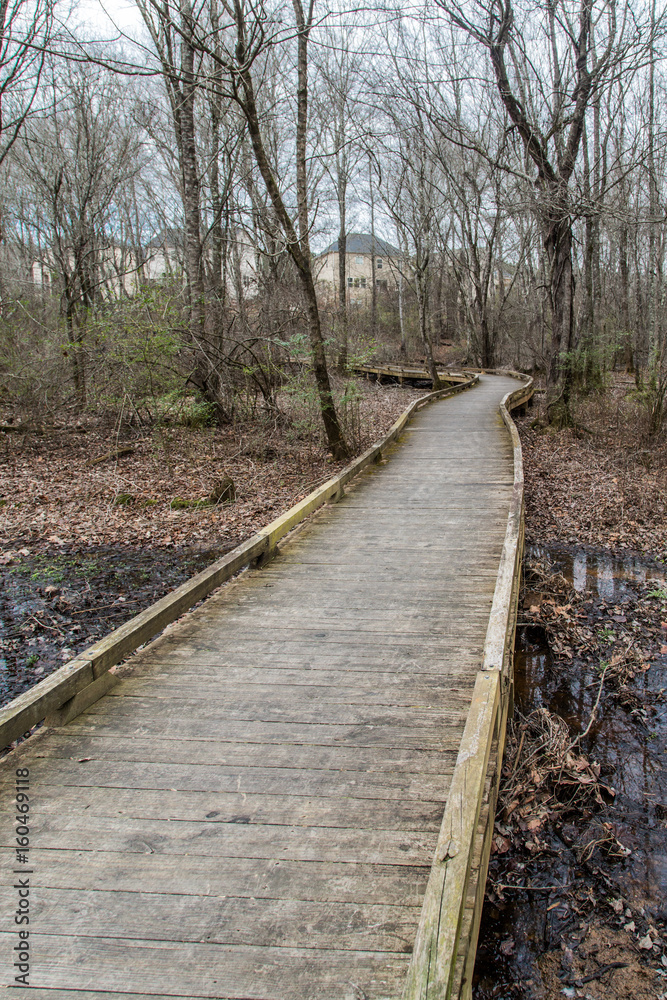 Walking Trail Over Wetland Marsh Walking Trail Over Wetland Marsh
