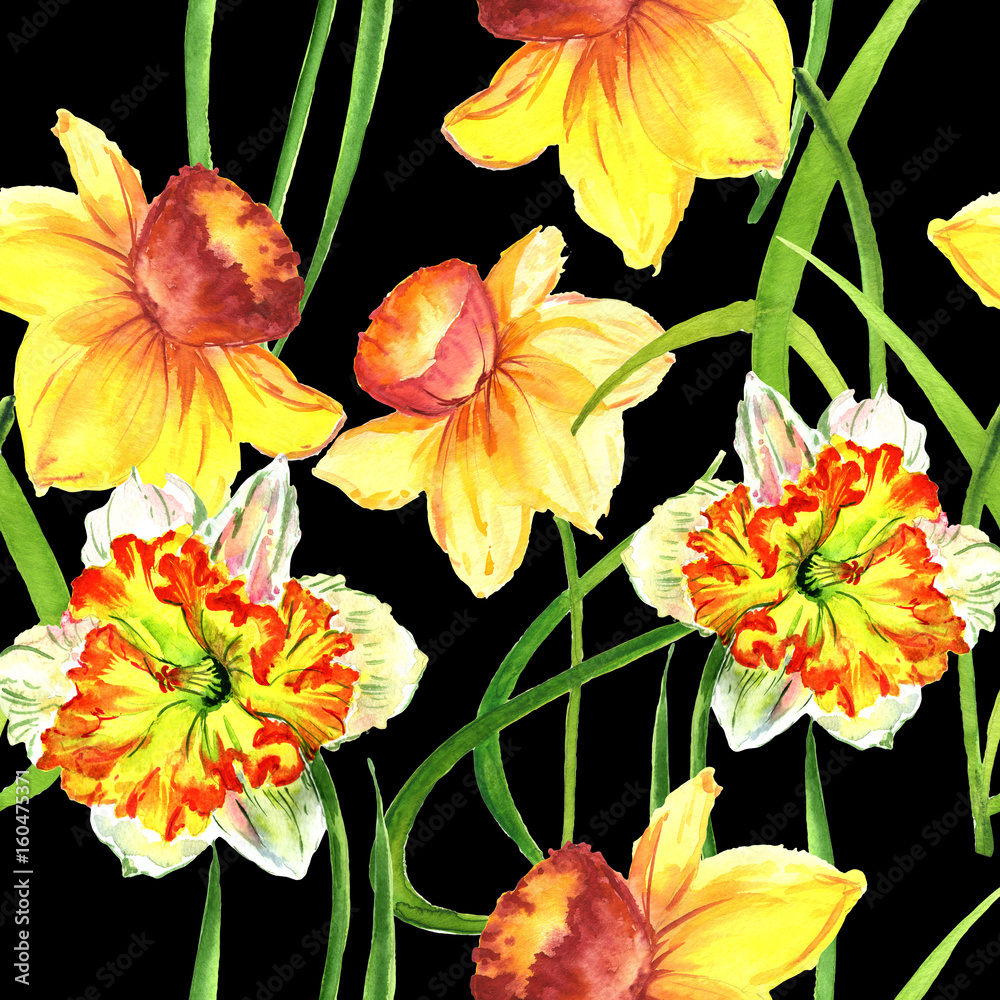 Wildflower Narcissus flower pattern in a watercolor style isolated.