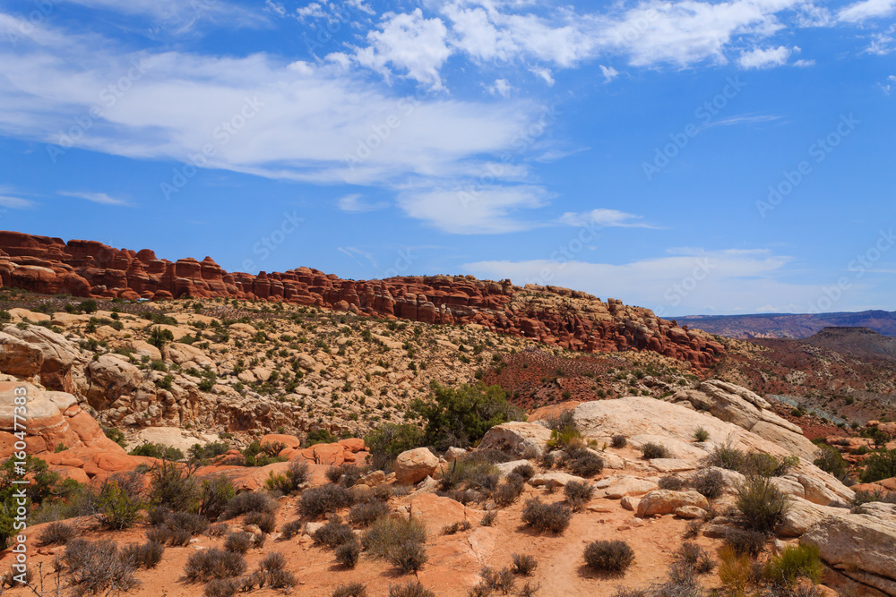 Fototapeta premium Panorama from Arches National Park, Utah. USA