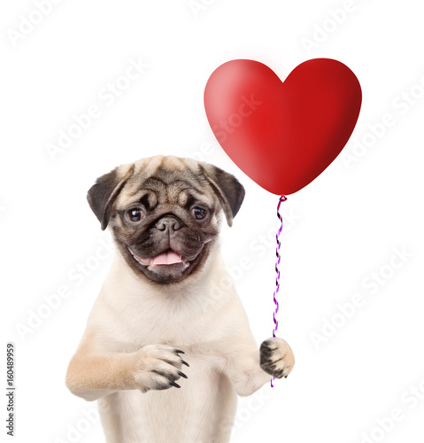 Puppy with heart balloon. isolated on white background © Ermolaev Alexandr