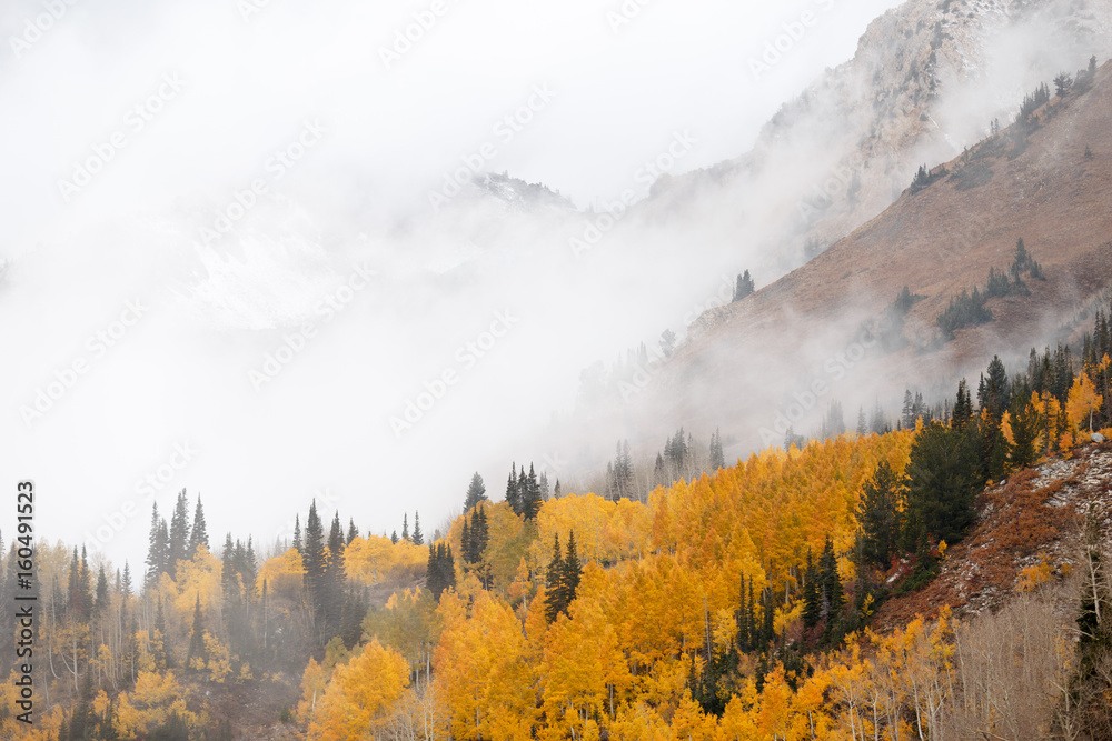Fototapeta premium Foggy Cloudy Mountain Autumn Forest