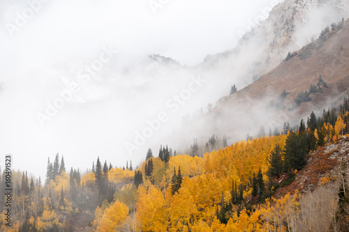 Foggy Cloudy Mountain Autumn Forest