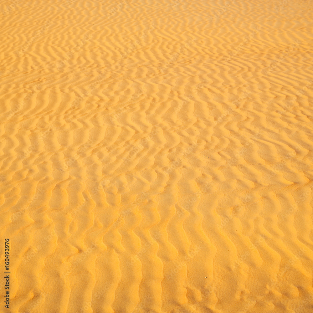 in oman the old desert and the empty quarter abstract texture line wave in oman the old desert and the empty quarter abstract texture line wave