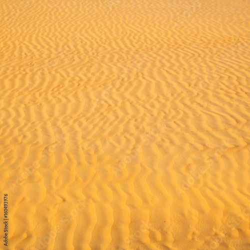 in oman the old desert and the empty quarter abstract texture line wave