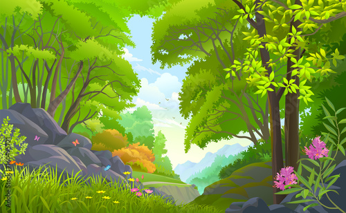 Spring time in a beautiful rain forest with flowers, butterflies,and rocks