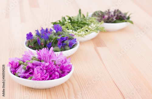 blooming herbs / Bowls of different flowers