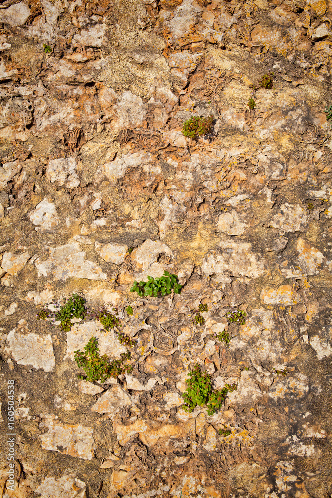 Part of a stone wall . Background or texture Part of a stone wall . Background or texture