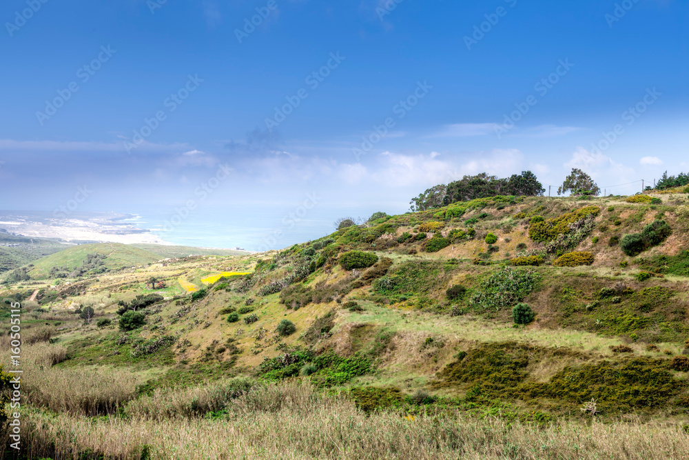 Naklejka premium A wild lanscape of green grass and cloudy sky