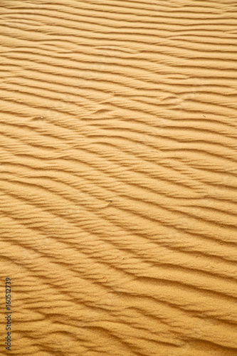  brown sand dune the sahara morocco desert