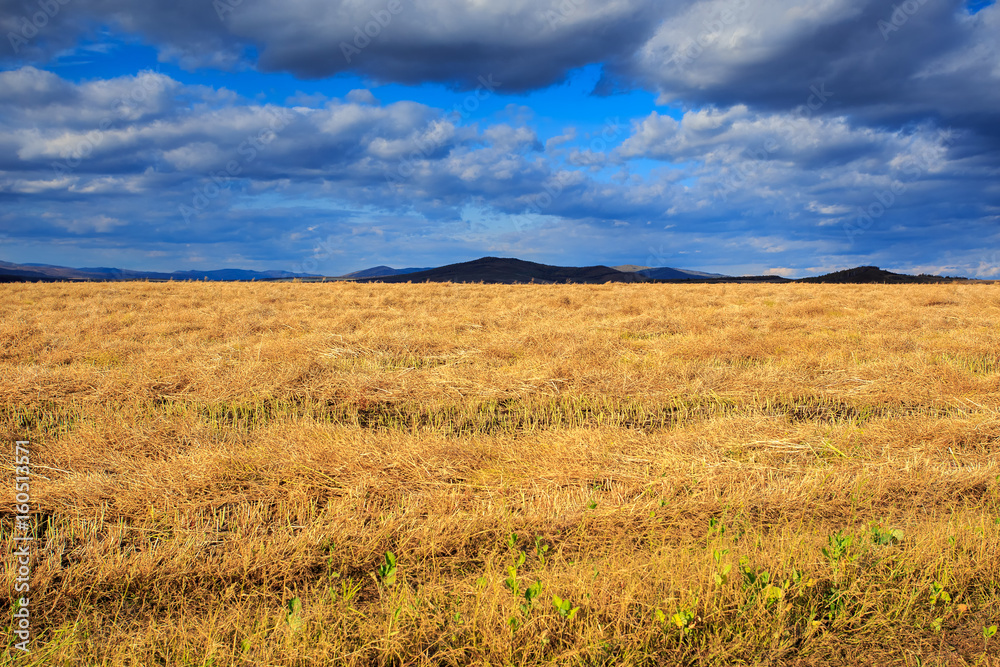Vast yellow grassland at sunset moment in autumn with mountains behind