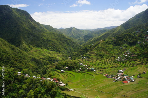 Vászonkép Batad Rice Terraces/ Philippines