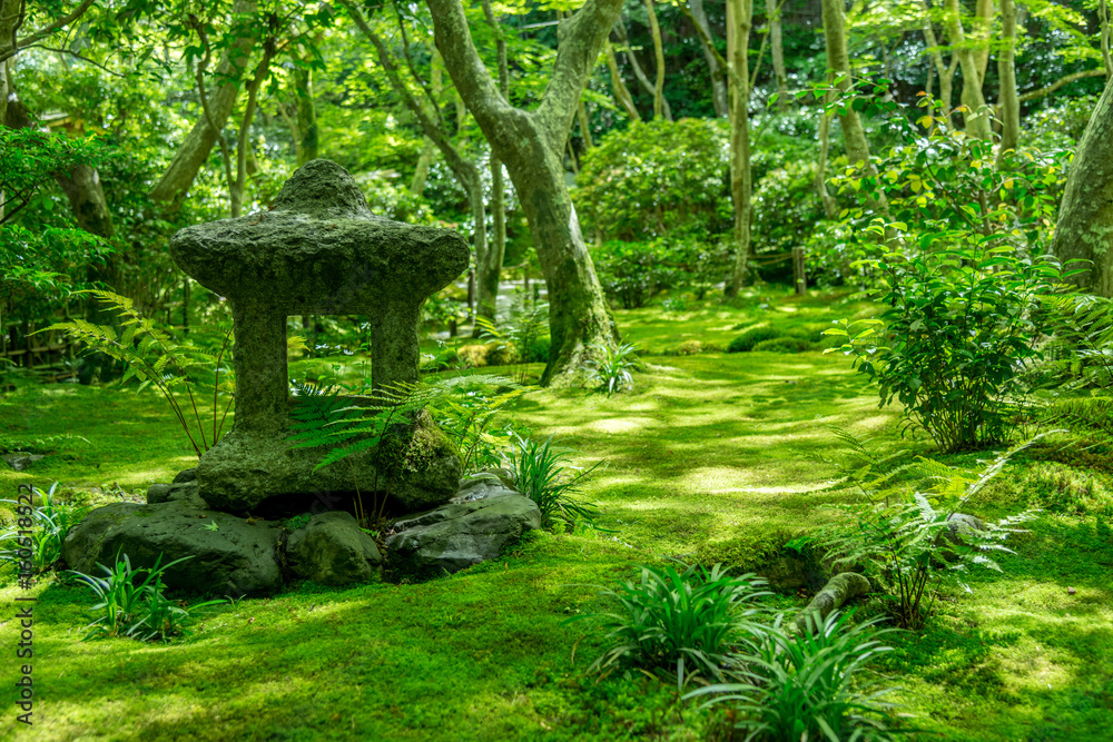 Fototapeta premium 祇王寺の苔の庭園・石灯籠