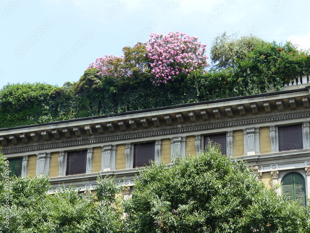 Terrazzo di un palazzo cittadino  emmersso dalle piante a Milano in Italia.