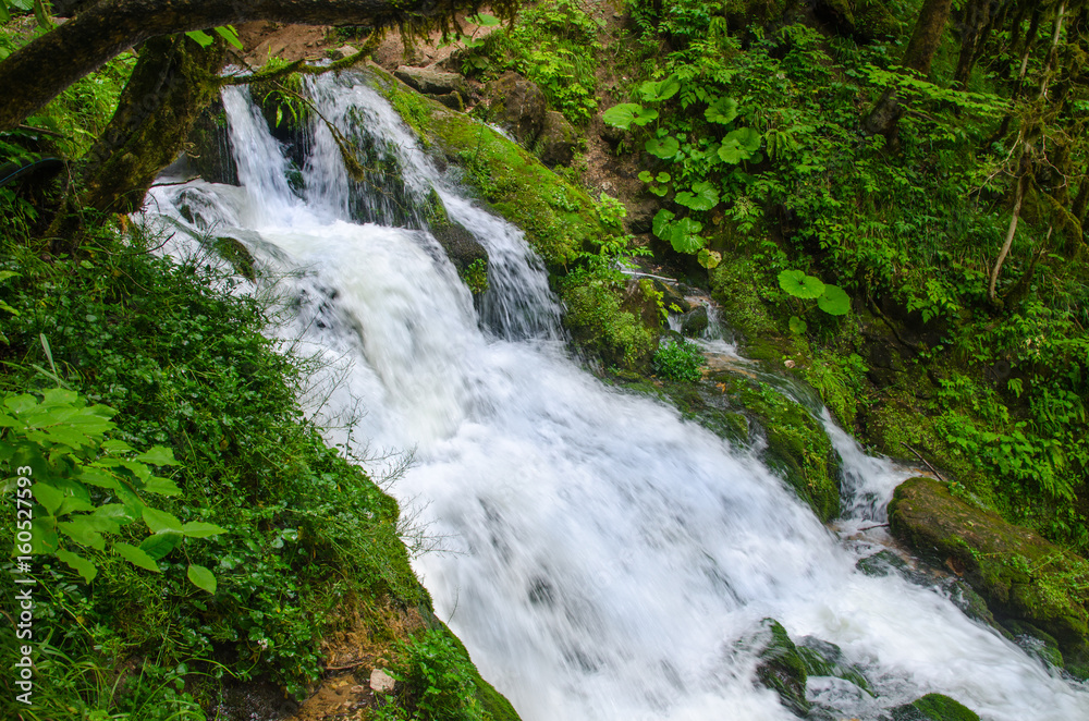 Beautiful wallpaper milk waterfall flow rapid stream. Caucasus rocky mountain river in green forest. Isichenko waterfall, Guamka, Mezmay.