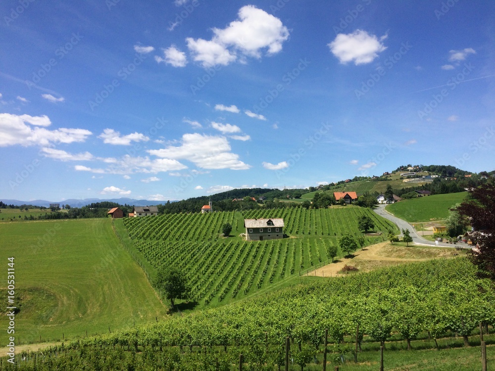 Naklejka premium zum Wein