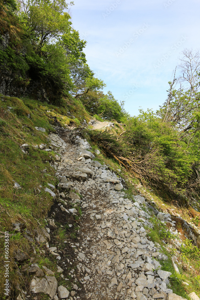 徳島県三好市　剣山山頂への遊歩道