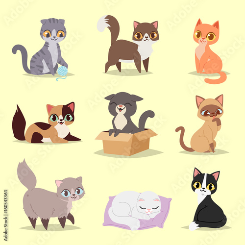 Fototapeta Naklejka Na Ścianę i Meble -  Cute cats kitty pet adorable character different pose vector. Home cats different breeds