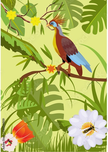 Jungle vector illustration  tropical vector bird and plants and flowers