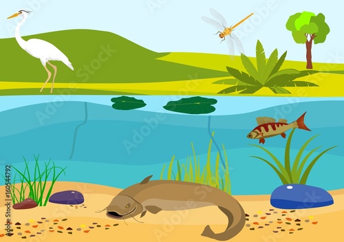 River underwater vector illustration