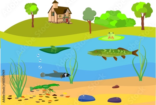 River underwater life vector illustration