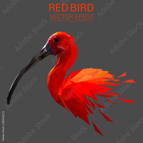 Red bird low poly design. Triangle vector illustration.