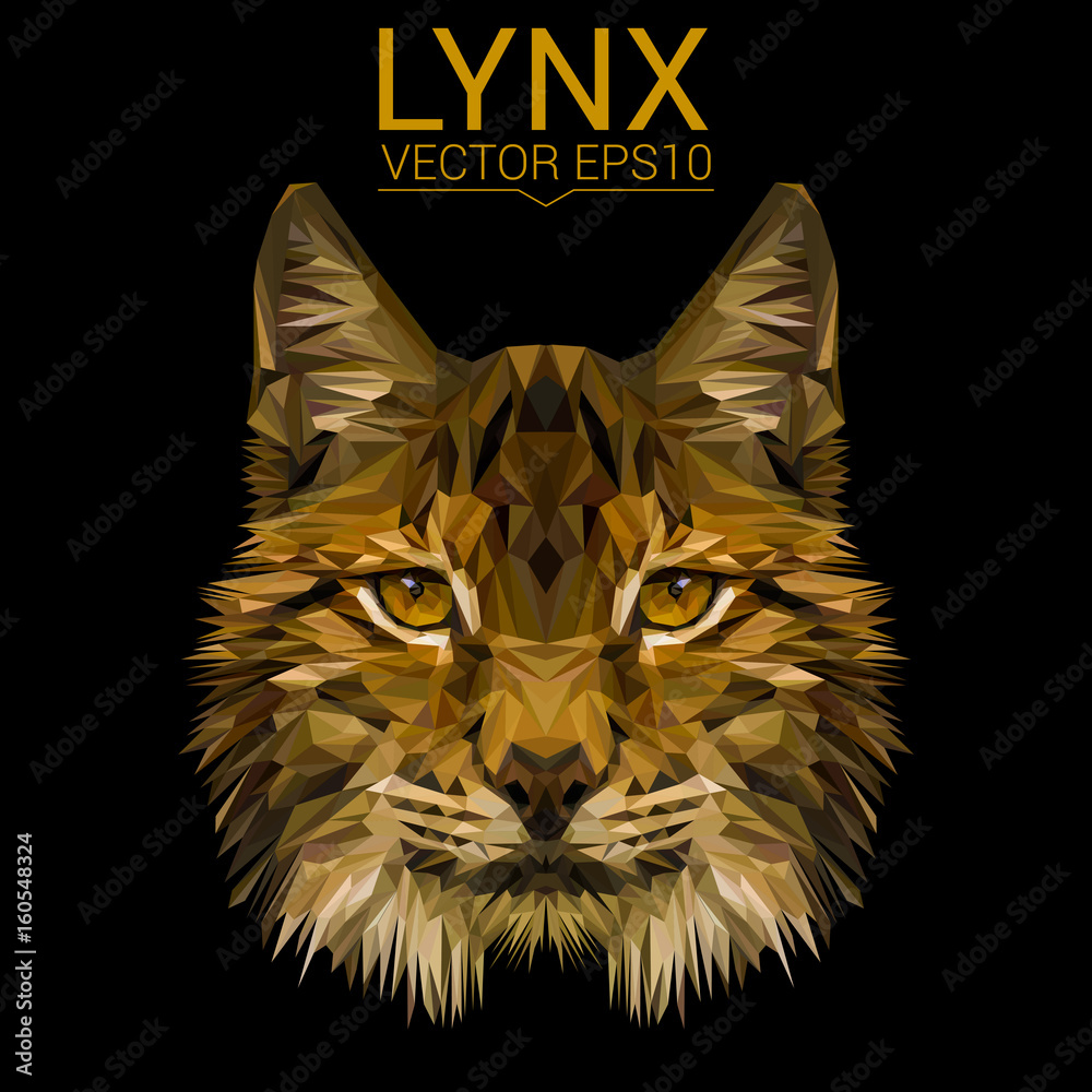 Naklejka premium Lynx cat animal low poly design. Triangle vector illustration.