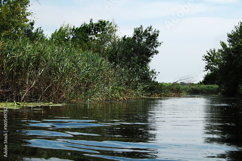 Summer floodplain river with jungles of reeds and trees. photo