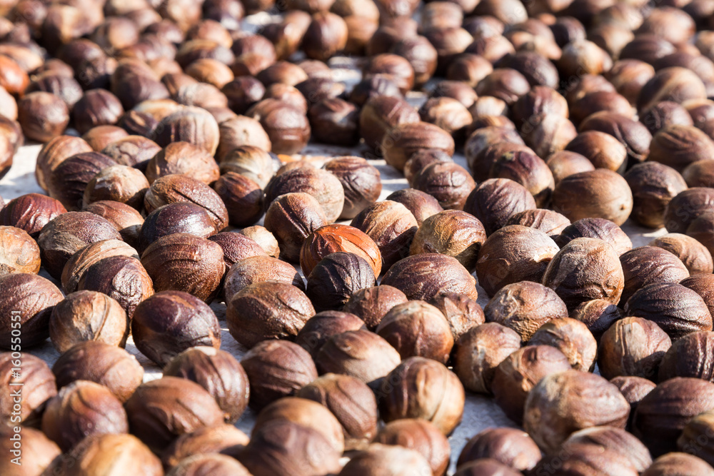Fresh nutmeg mace seed being dried under the sun Fresh nutmeg mace seed being dried under the sun
