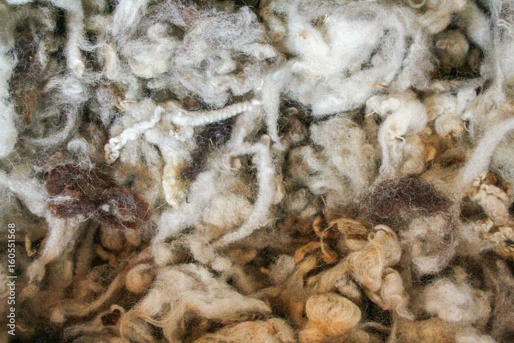 raw virgin wool raw virgin wool