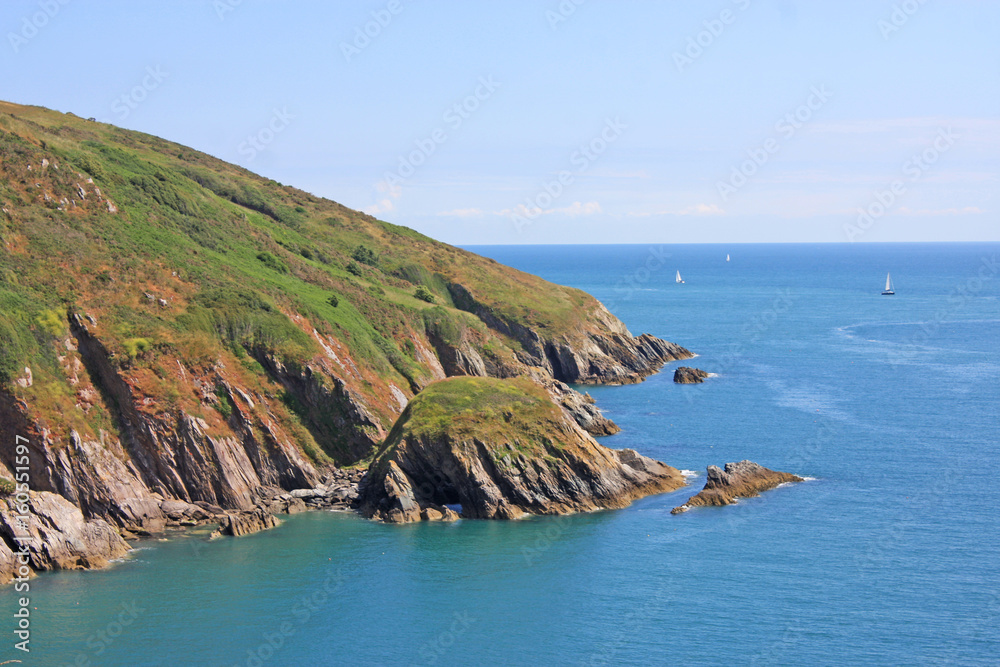 Fototapeta premium South Devon Coast