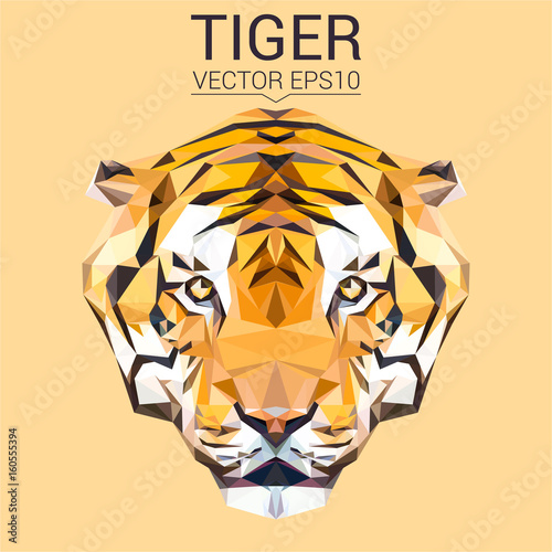 Fototapeta Naklejka Na Ścianę i Meble -  Tiger low poly design. Triangle vector illustration.
