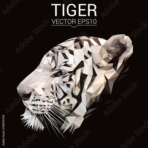 Fototapeta Naklejka Na Ścianę i Meble -  Tiger low poly design. Triangle vector illustration.