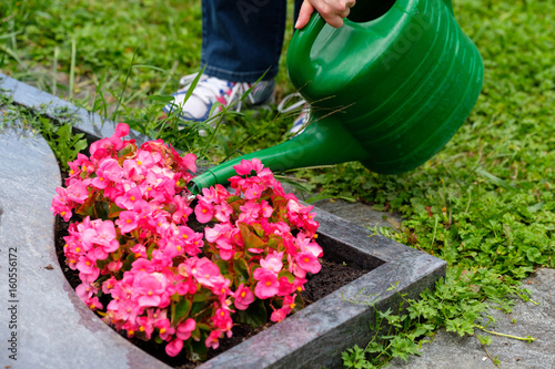 Frau gießt mit einer Gießkanne Blumen auf dem Friedhof