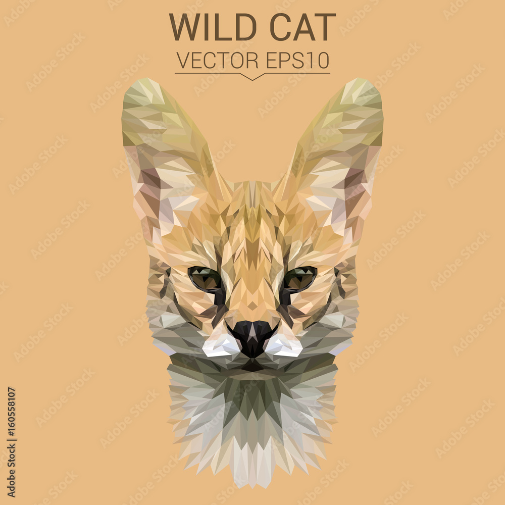 Naklejka premium Wild cat lynx low poly design. Triangle vector illustration.